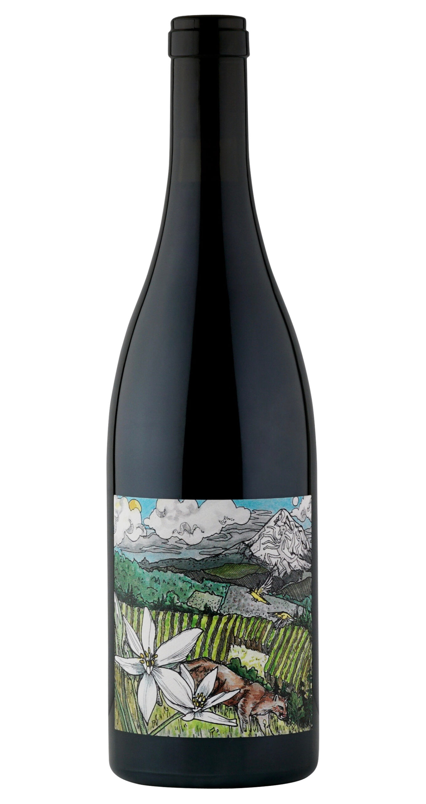 Bottle of 2018 Kelley Fox Mirabai Pinot Noir